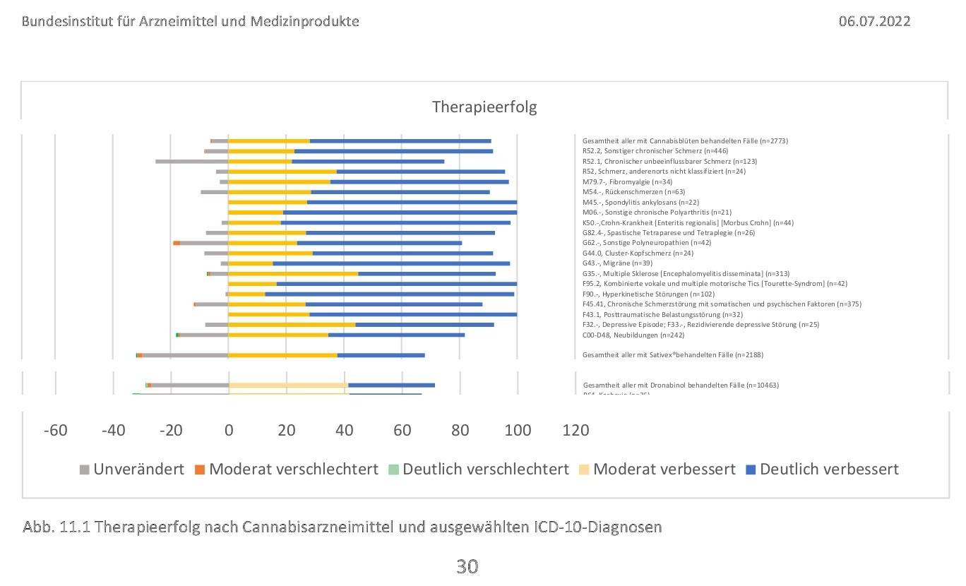 canabis-therapie.jpg